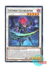 画像: 英語版 DOOD-EN087 Lycoris Lilyreaper 日本未発売 (ノーマル) 1st Edition