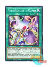 画像: 英語版 DOOD-EN089 Fleeting Flower of the Magician 日本未発売 (ノーマル) 1st Edition