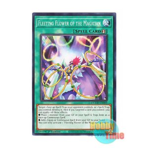 画像: 英語版 DOOD-EN089 Fleeting Flower of the Magician 日本未発売 (ノーマル) 1st Edition