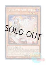 画像: 英語版 BPRO-EN024 Fallen of the White Dragon 白き竜の落胤 (シークレットレア) 1st Edition