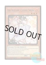 画像: 英語版 MAGO-EN011 Ash Blossom & Joyous Spring 灰流うらら (プレミアムゴールドレア) 1st Edition