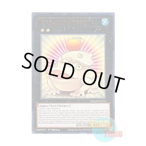 画像: 英語版 MAGO-EN134 Toadally Awesome 餅カエル (レア:ゴールド) 1st Edition