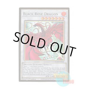 画像: 英語版 MGED-EN026 Black Rose Dragon【Alternate Art】 ブラック・ローズ・ドラゴン【イラスト違い】 (プレミアムゴールドレア) 1st Edition