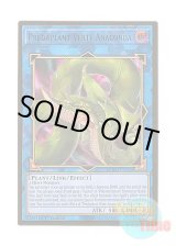 画像: 英語版 MGED-EN036 Predaplant Verte Anaconda 捕食植物ヴェルテ・アナコンダ (プレミアムゴールドレア) 1st Edition