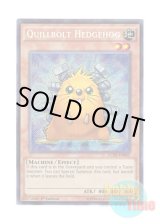 画像: 英語版 LC5D-EN005 Quillbolt Hedgehog ボルト・ヘッジホッグ (シークレットレア) 1st Edition