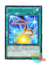 画像: 英語版 LC5D-EN139 Cards for Black Feathers 黒羽の宝札 (レア) 1st Edition