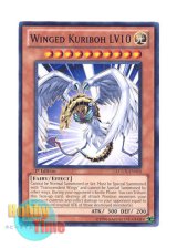 画像: 英語版 LCGX-EN010 Winged Kuriboh LV10 ハネクリボー ＬＶ１０ (ノーマル) 1st Edition