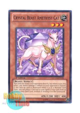画像: 英語版 LCGX-EN156 Crystal Beast Amethyst Cat 宝玉獣 アメジスト・キャット (ノーマル) 1st Edition