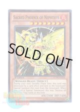 画像: 英語版 LCYW-EN259 Sacred Phoenix of Nephthys ネフティスの鳳凰神 (スーパーレア) 1st Edition