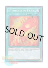 画像: 英語版 LCYW-EN280 A Feather of the Phoenix 鳳凰神の羽根 (シークレットレア) 1st Edition
