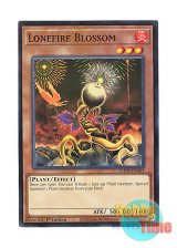 画像: 英語版 L5DD-ENA01 Lonefire Blossom ローンファイア・ブロッサム (ノーマル) 1st Edition