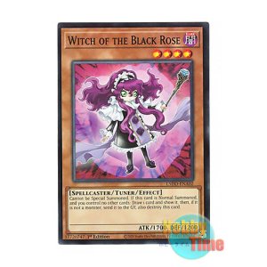 英語版 LDS2-EN097 Witch of the Black Rose 黒薔薇の魔女 (ノーマル