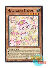 画像: 英語版 L5DD-ENA14 Mulcharmy Meowls マルチャミー・ニャルス (ノーマル) 1st Edition