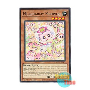 画像: 英語版 L5DD-ENA14 Mulcharmy Meowls マルチャミー・ニャルス (ノーマル) 1st Edition