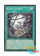 画像: 英語版 L5DD-ENA18 Black Garden ブラック・ガーデン (ノーマル) 1st Edition