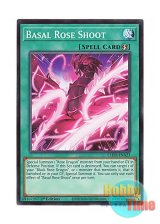 画像: 英語版 L5DD-ENA23 Basal Rose Shoot 薫り貴き薔薇の芽吹き (ノーマル) 1st Edition