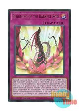 画像: 英語版 L5DD-ENA25 Blooming of the Darkest Rose 漆黒の薔薇の開華 (ウルトラレア) 1st Edition