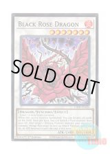 画像: 英語版 L5DD-ENA26 Black Rose Dragon ブラック・ローズ・ドラゴン (ノーマル) 1st Edition