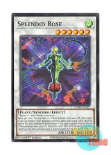 画像: 英語版 L5DD-ENA27 Splendid Rose スプレンディッド・ローズ (ノーマル) 1st Edition