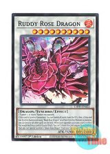 画像: 英語版 L5DD-ENA32 Ruddy Rose Dragon ブラッド・ローズ・ドラゴン (ノーマル) 1st Edition