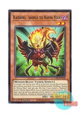 画像: 英語版 L5DD-ENC06 Blackwing - Sharnga the Waning Moon BF－下弦のサルンガ (ノーマル) 1st Edition