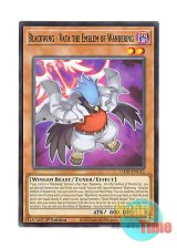 画像: 英語版 L5DD-ENC12 Blackwing - Vata the Emblem of Wandering BF－無頼のヴァータ (ノーマル) 1st Edition