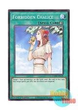 画像: 英語版 L5DD-ENC20 Forbidden Chalice 禁じられた聖杯 (ノーマル) 1st Edition