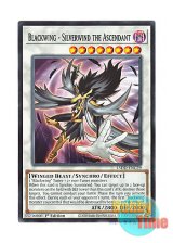 画像: 英語版 L5DD-ENC29 Blackwing - Silverwind the Ascendant BF－孤高のシルバー・ウィンド (ノーマル) 1st Edition