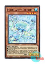 画像: 英語版 L5DD-ENY18 Mulcharmy Purulia マルチャミー・プルリア (ノーマル) 1st Edition