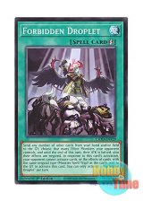 画像: 英語版 L5DD-ENY29 Forbidden Droplet 禁じられた一滴 (ノーマル) 1st Edition