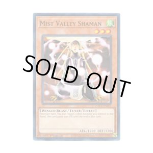 画像: 英語版 HAC1-EN057 Mist Valley Shaman 霞の谷の祈祷師 (ノーマル・パラレル) 1st Edition