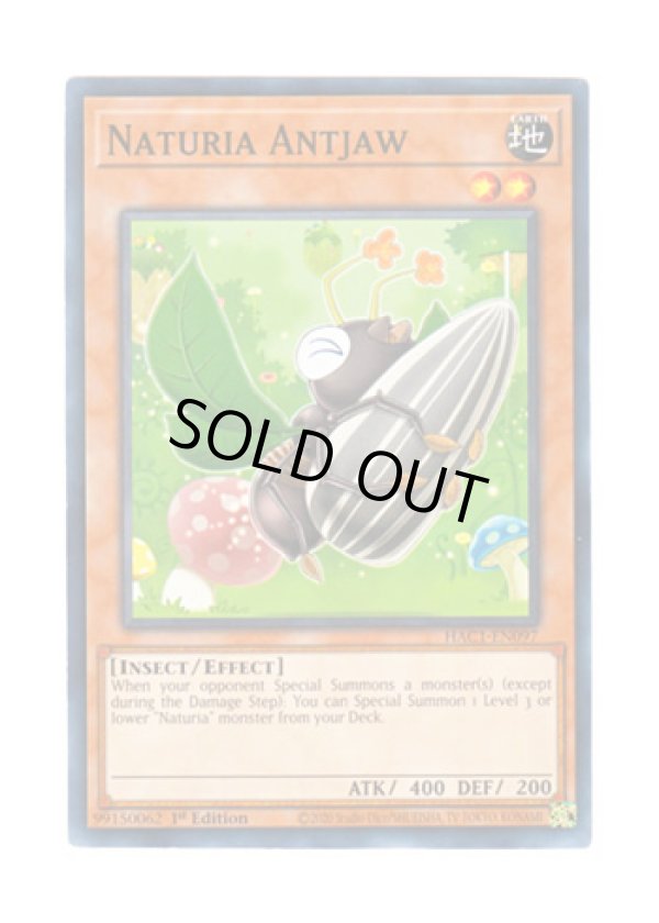 画像1: 英語版 HAC1-EN097 Naturia Antjaw ナチュル・アントジョー (ノーマル) 1st Edition
