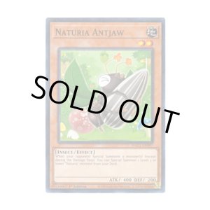 画像: 英語版 HAC1-EN097 Naturia Antjaw ナチュル・アントジョー (ノーマル・パラレル) 1st Edition