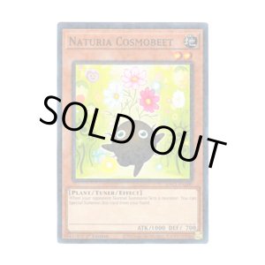 画像: 英語版 HAC1-EN100 Naturia Cosmobeet ナチュル・コスモスビート (ノーマル・パラレル) 1st Edition