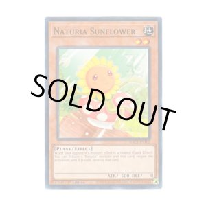 画像: 英語版 HAC1-EN102 Naturia Sunflower ナチュル・サンフラワー (ノーマル) 1st Edition