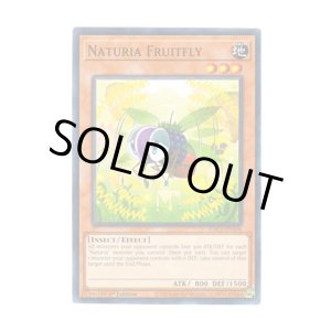 画像: 英語版 HAC1-EN106 Naturia Fruitfly ナチュル・フライトフライ (ノーマル・パラレル) 1st Edition