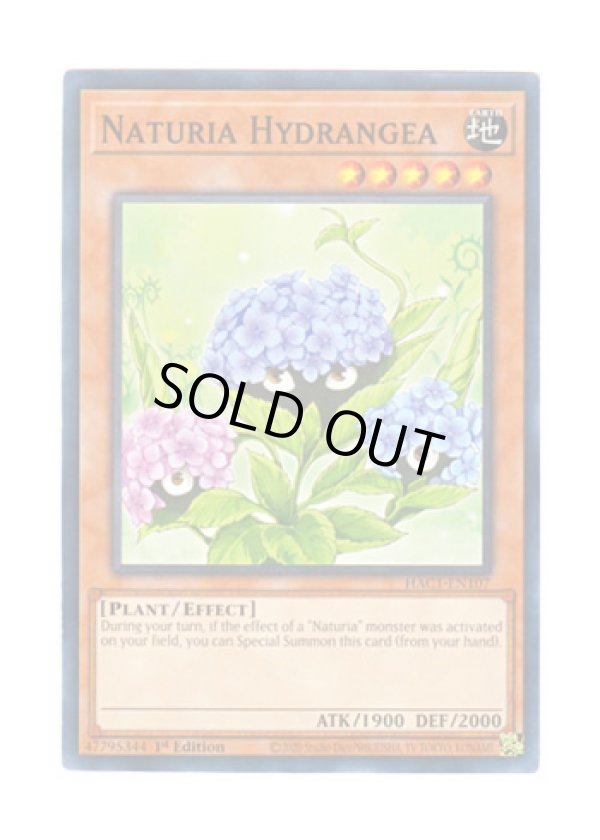 画像1: 英語版 HAC1-EN107 Naturia Hydrangea ナチュル・ハイドランジー (ノーマル・パラレル) 1st Edition