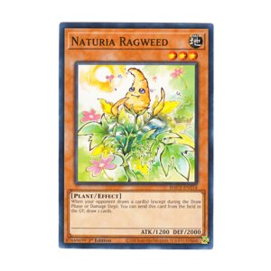 画像: 英語版 HAC1-EN114 Naturia Ragweed ナチュル・ラグウィード (ノーマル) 1st Edition
