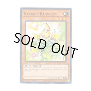 画像: 英語版 HAC1-EN114 Naturia Ragweed ナチュル・ラグウィード (ノーマル・パラレル) 1st Edition