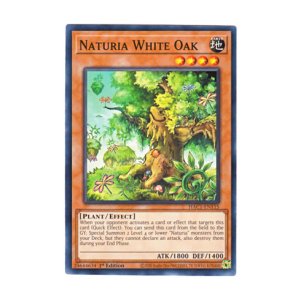 画像: 英語版 HAC1-EN115 Naturia White Oak ナチュル・ホワイトオーク (ノーマル) 1st Edition