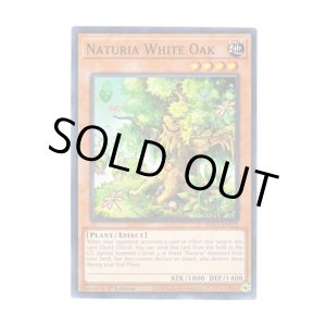 画像: 英語版 HAC1-EN115 Naturia White Oak ナチュル・ホワイトオーク (ノーマル・パラレル) 1st Edition