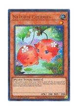 画像: 英語版 HAC1-EN116 Naturia Cherries ナチュル・チェリー (ウルトラレア・パラレル) 1st Edition