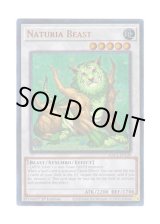 画像: 英語版 HAC1-EN120 Naturia Beast ナチュル・ビースト (ウルトラレア・パラレル) 1st Edition