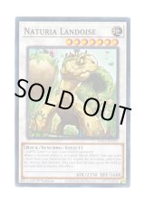画像: 英語版 HAC1-EN123 Naturia Landoise ナチュル・ランドオルス (ノーマル) 1st Edition