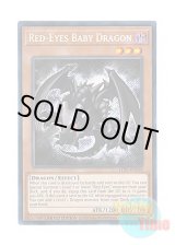 画像: 英語版 LDS1-EN010 Red-Eyes Baby Dragon 真紅眼の幼竜 (シークレットレア) Limited Edition
