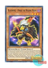 画像: 英語版 LDS2-EN039 Blackwing - Pinaki the Waxing Moon BF－上弦のピナーカ (ノーマル) 1st Edition