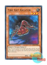 画像: 英語版 LDS3-EN046 Fire Ant Ascator 赤蟻アスカトル (ノーマル) 1st Edition