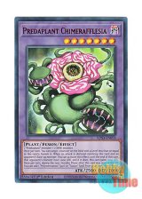 画像: 英語版 LDS3-EN074 Predaplant Chimerafflesia 捕食植物キメラフレシア (ウルトラレア：レッド) 1st Edition