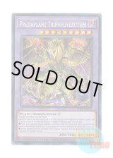 画像: 英語版 LDS3-EN076 Predaplant Triphyoverutum 捕食植物トリフィオヴェルトゥム (シークレットレア) Limited Edition