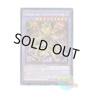 画像: 英語版 LDS3-EN076 Predaplant Triphyoverutum 捕食植物トリフィオヴェルトゥム (シークレットレア) Limited Edition